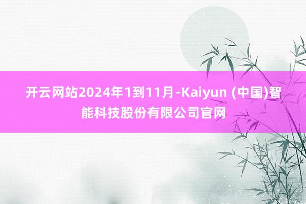 开云网站2024年1到11月-Kaiyun (中国)智能科技股份有限公司官网