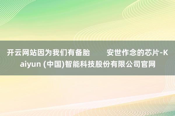 开云网站因为我们有备胎 安世作念的芯片-Kaiyun (中国)智能科技股份有限公司官网