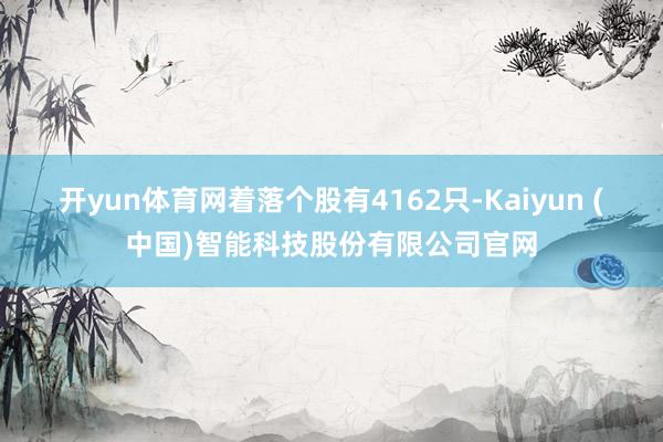 开yun体育网着落个股有4162只-Kaiyun (中国)智能科技股份有限公司官网