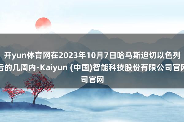 开yun体育网在2023年10月7日哈马斯迫切以色列后的几周