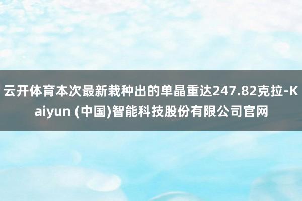 云开体育本次最新栽种出的单晶重达247.82克拉-Kaiyun (中国)智能科技股份有限公司官网